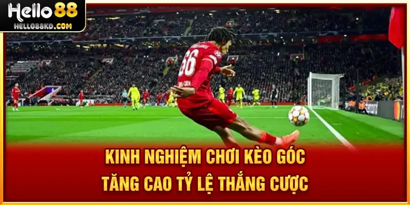 Kinh nghiệm chơi kèo góc tăng cao tỷ lệ thắng cược