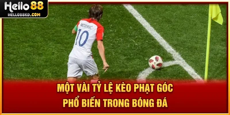 Một vài tỷ lệ Kèo Phạt Góc phổ biến trong bóng đá
